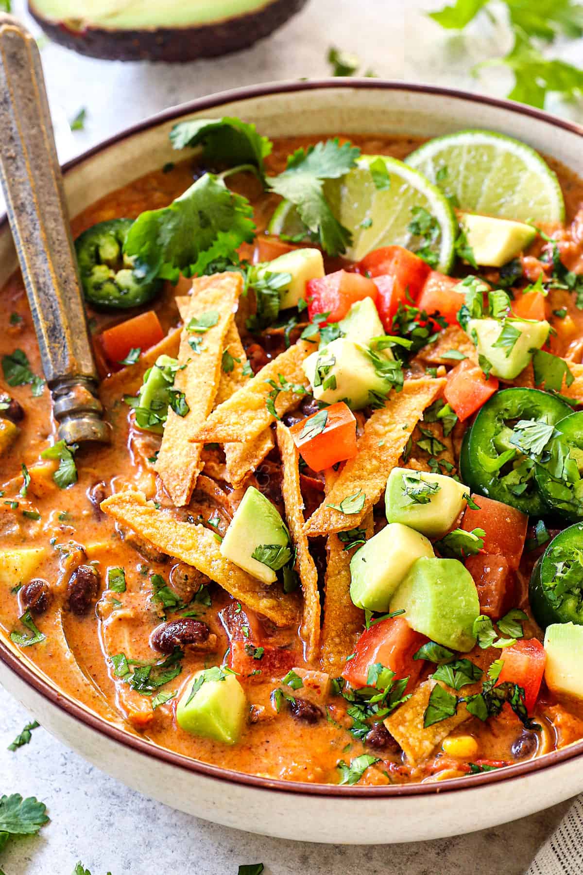 Creamy Chicken Enchilada Soup